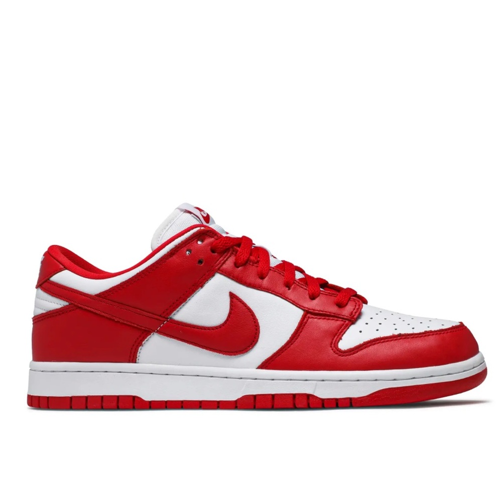Nike Dunk Low Sneakers